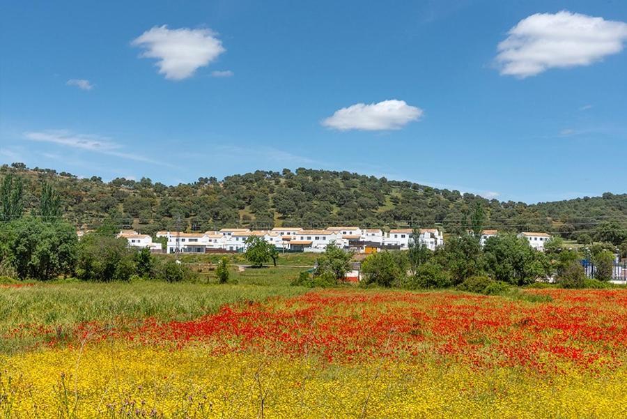 Casa Rural Nacimiento Del Hueznar - Tomillo 17 San Nicolás del Puerto Eksteriør bilde